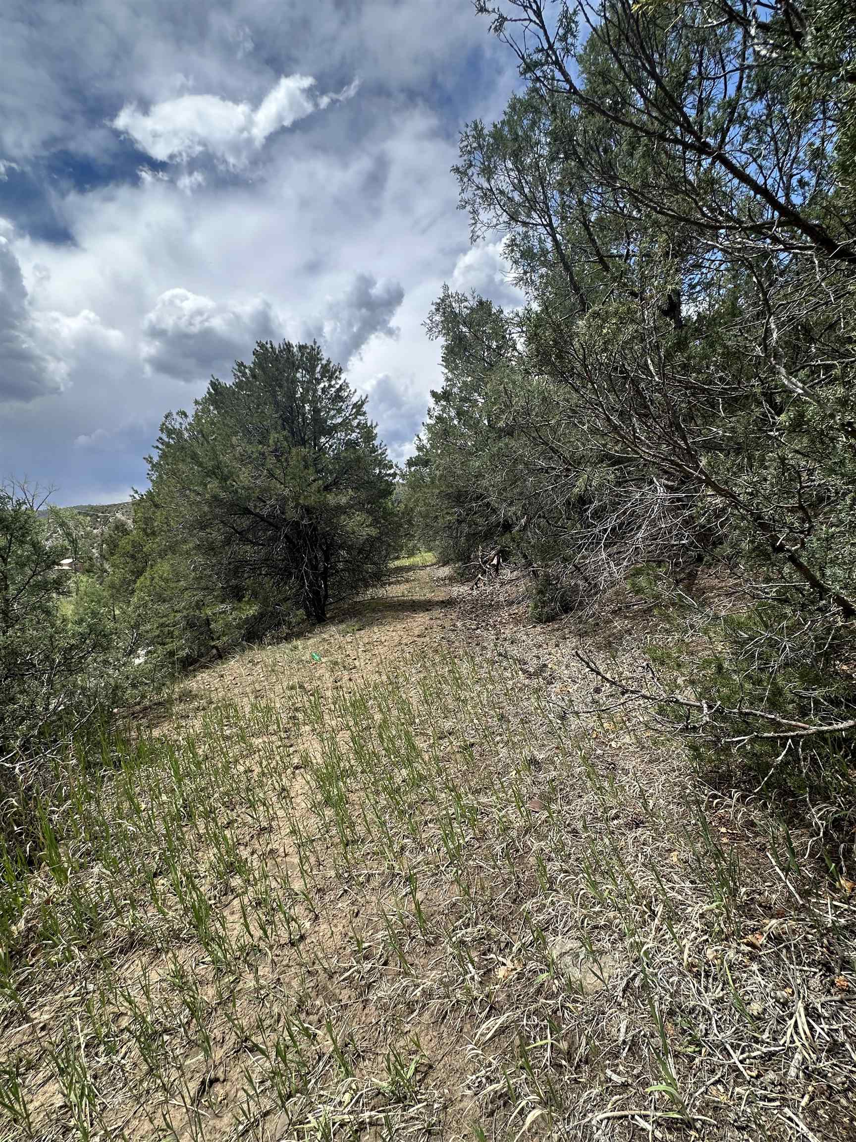 Off Us Highway 64, Taos, New Mexico image 9