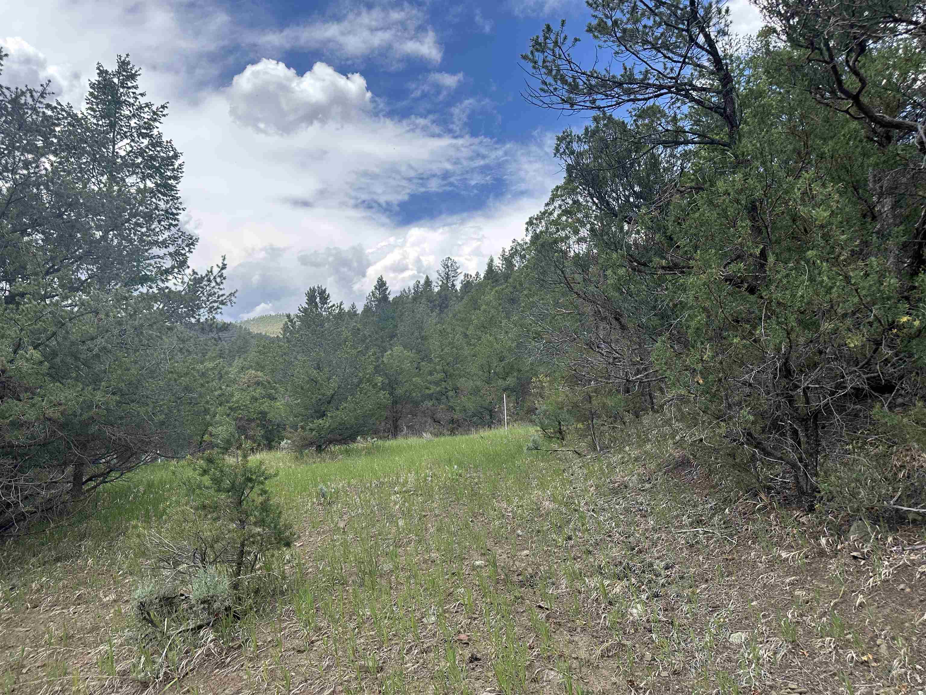 Off Us Highway 64, Taos, New Mexico image 4