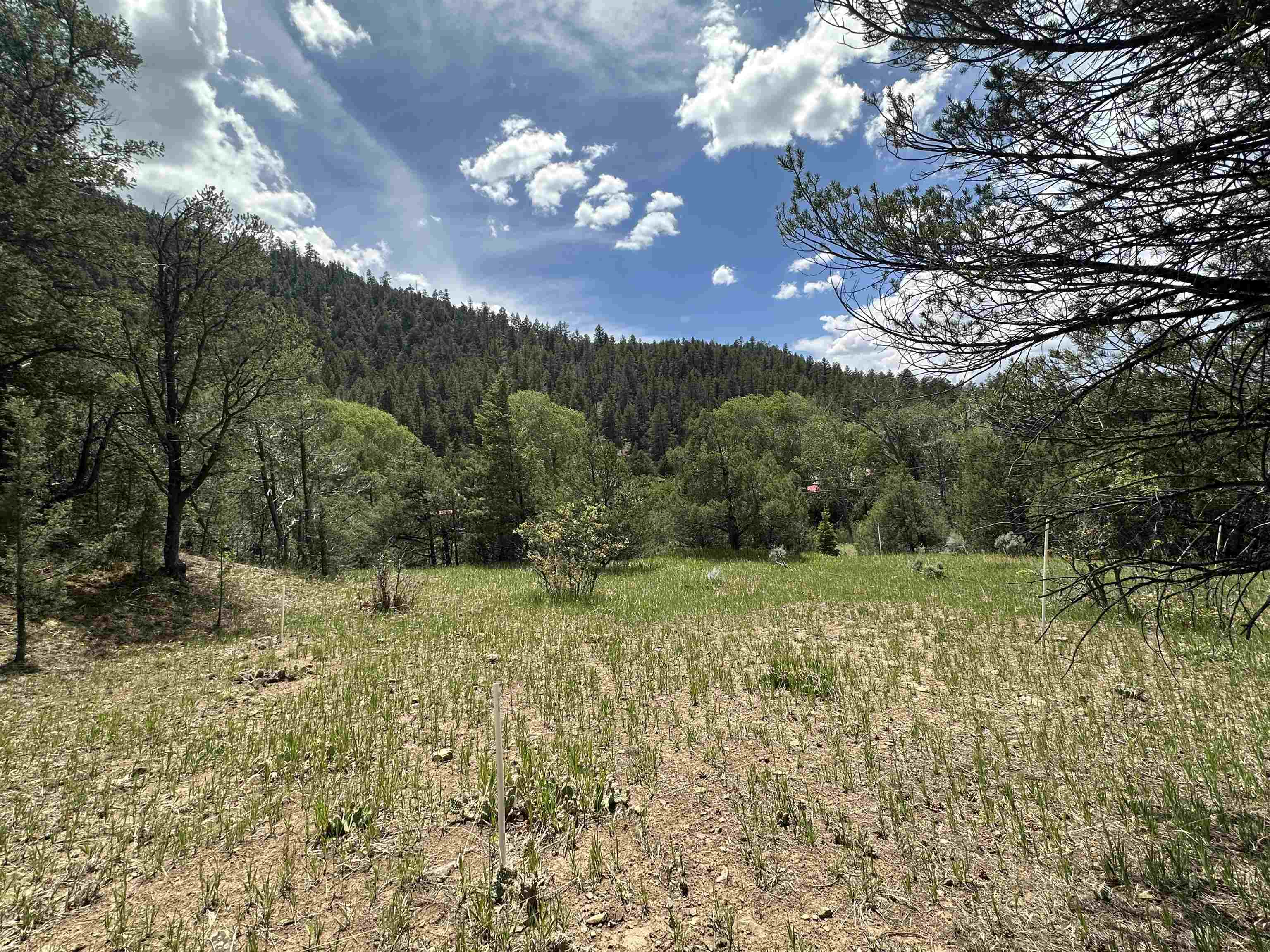 Off Us Highway 64, Taos, New Mexico image 6