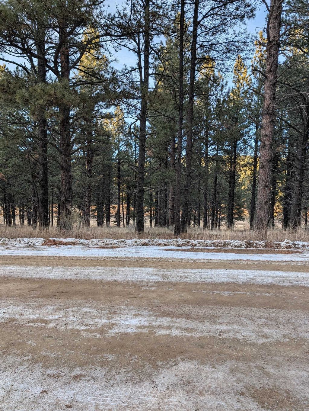 Photo of Lot 1315 Valle Grande Trail South, Angel Fire, NM 87710 (MLS # 114336)