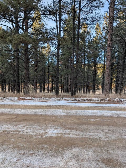 Photo of Lot 1315 Valle Grande Trail South, Angel Fire, NM 87710 (MLS # 114336)