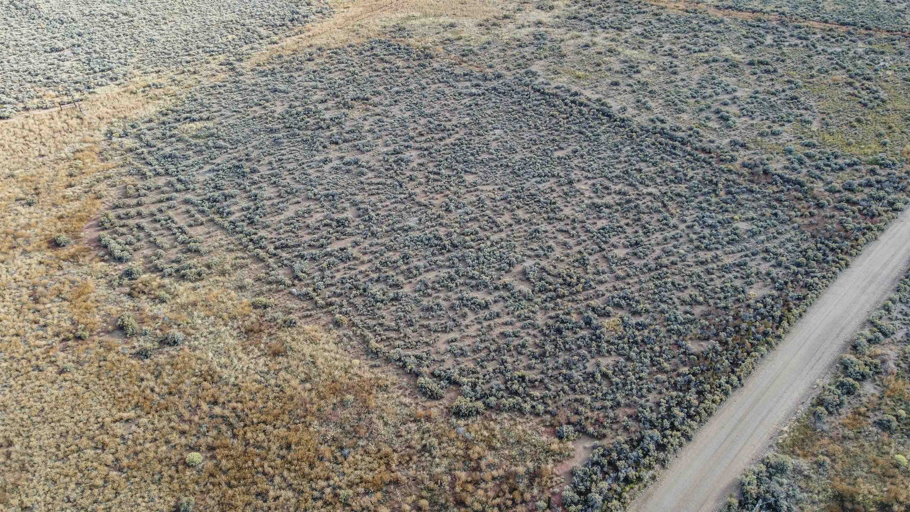 TBD Upper Plaza Rd, Costilla, New Mexico image 5