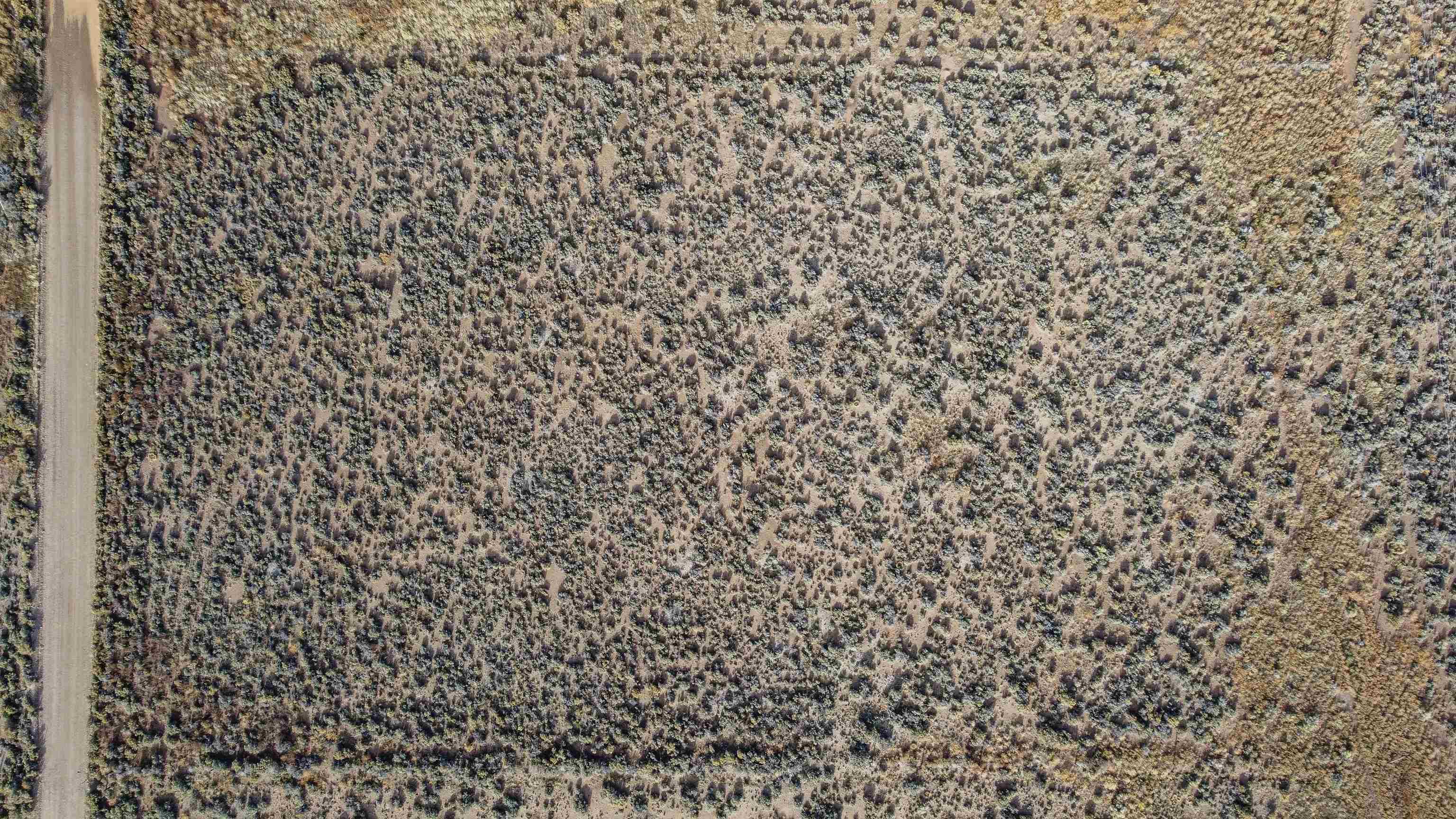 TBD Upper Plaza Rd, Costilla, New Mexico image 8