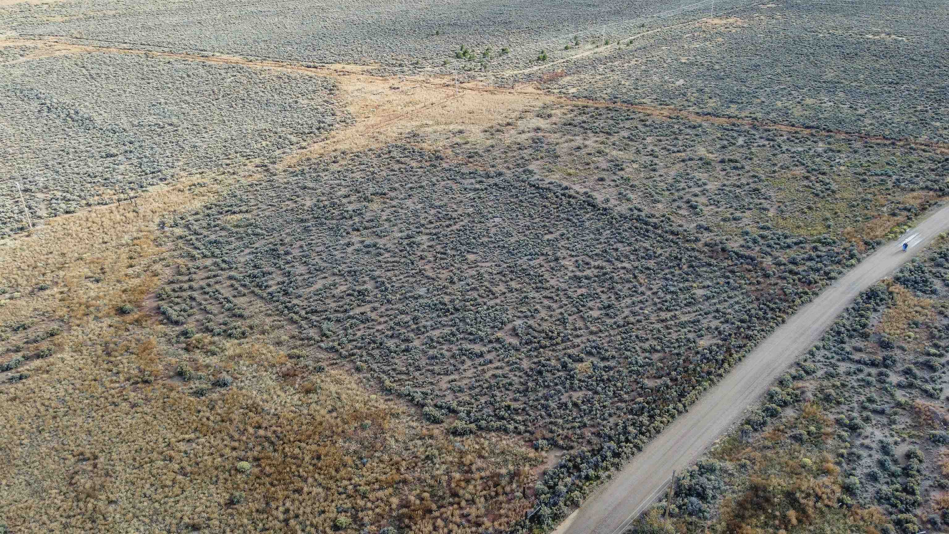 TBD Upper Plaza Rd, Costilla, New Mexico image 9