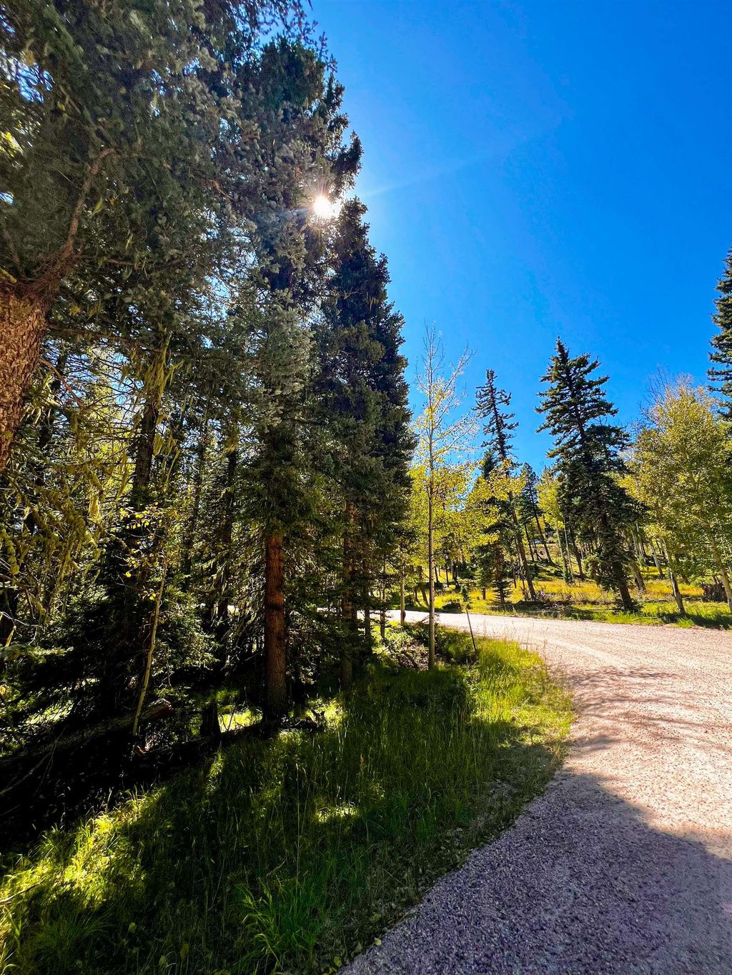 Photo of Lot 71 Calle de los Indios, Angel Fire, NM 87710 (MLS # 114042)