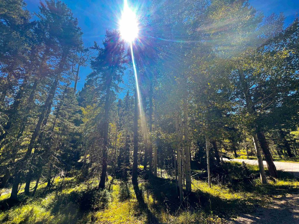 Photo of Lot 71 Calle de los Indios, Angel Fire, NM 87710 (MLS # 114042)