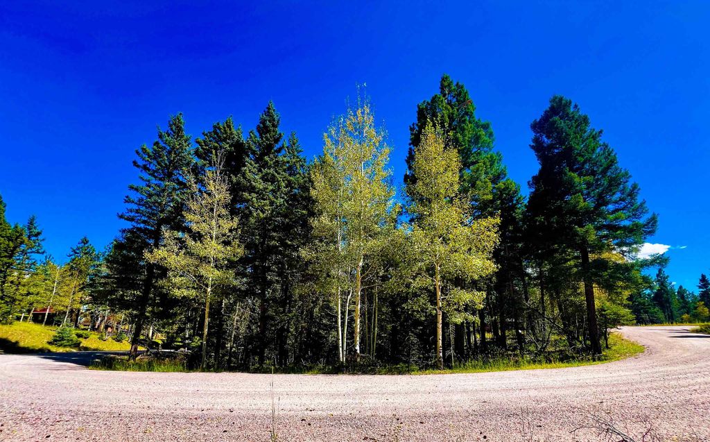 Photo of Lot 71 Calle de los Indios, Angel Fire, NM 87710 (MLS # 114042)