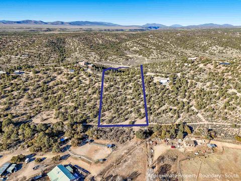 Vacant Land For Sale - Tres Lomas Road<br/> Arroyo Hondo, NM 87513