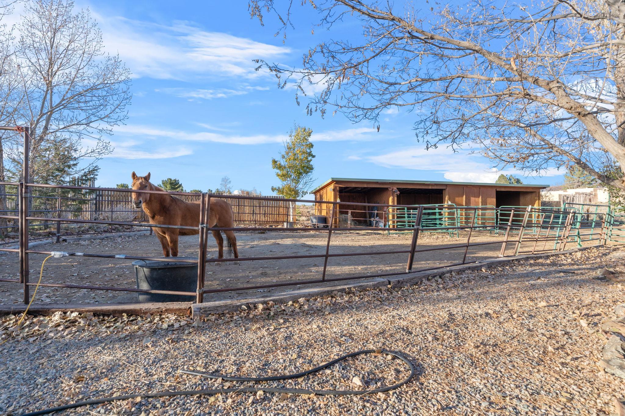 19 North Mesa Rd, El Prado, New Mexico image 42