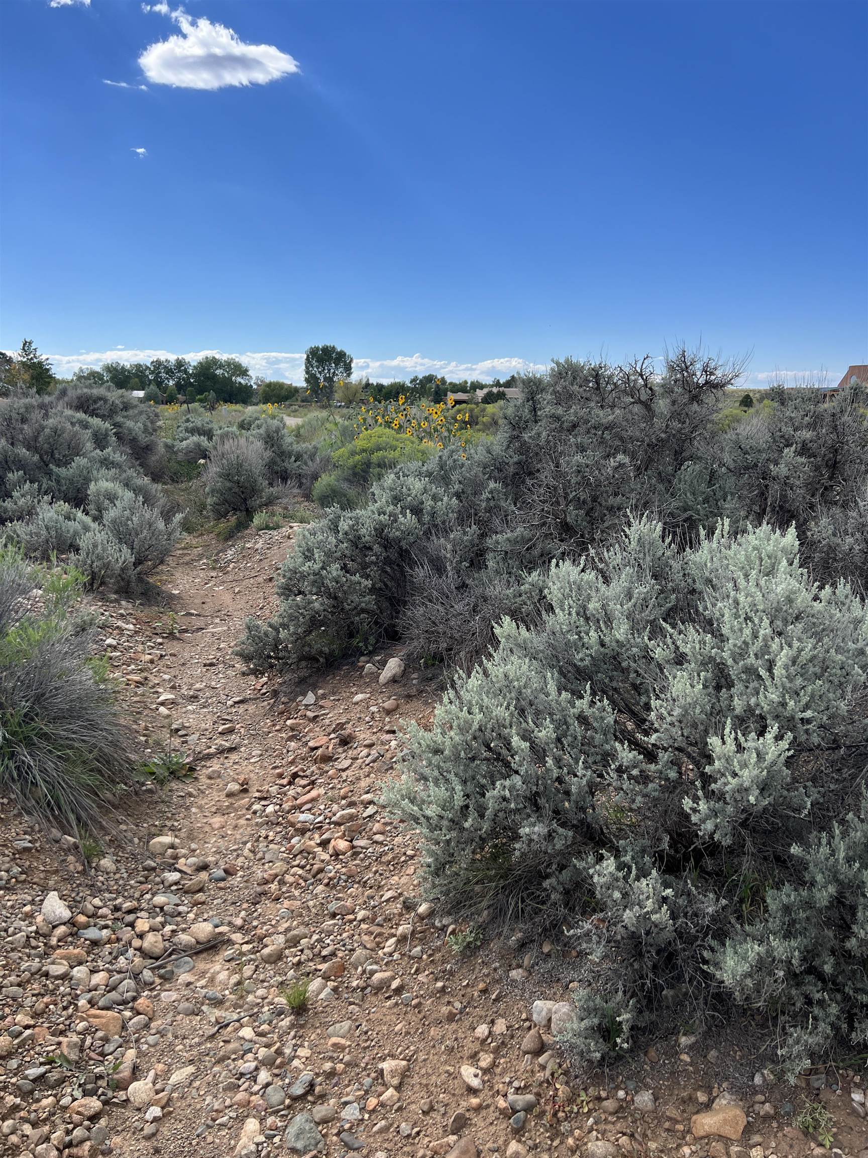 2 Nacoma, El Prado, New Mexico image 9