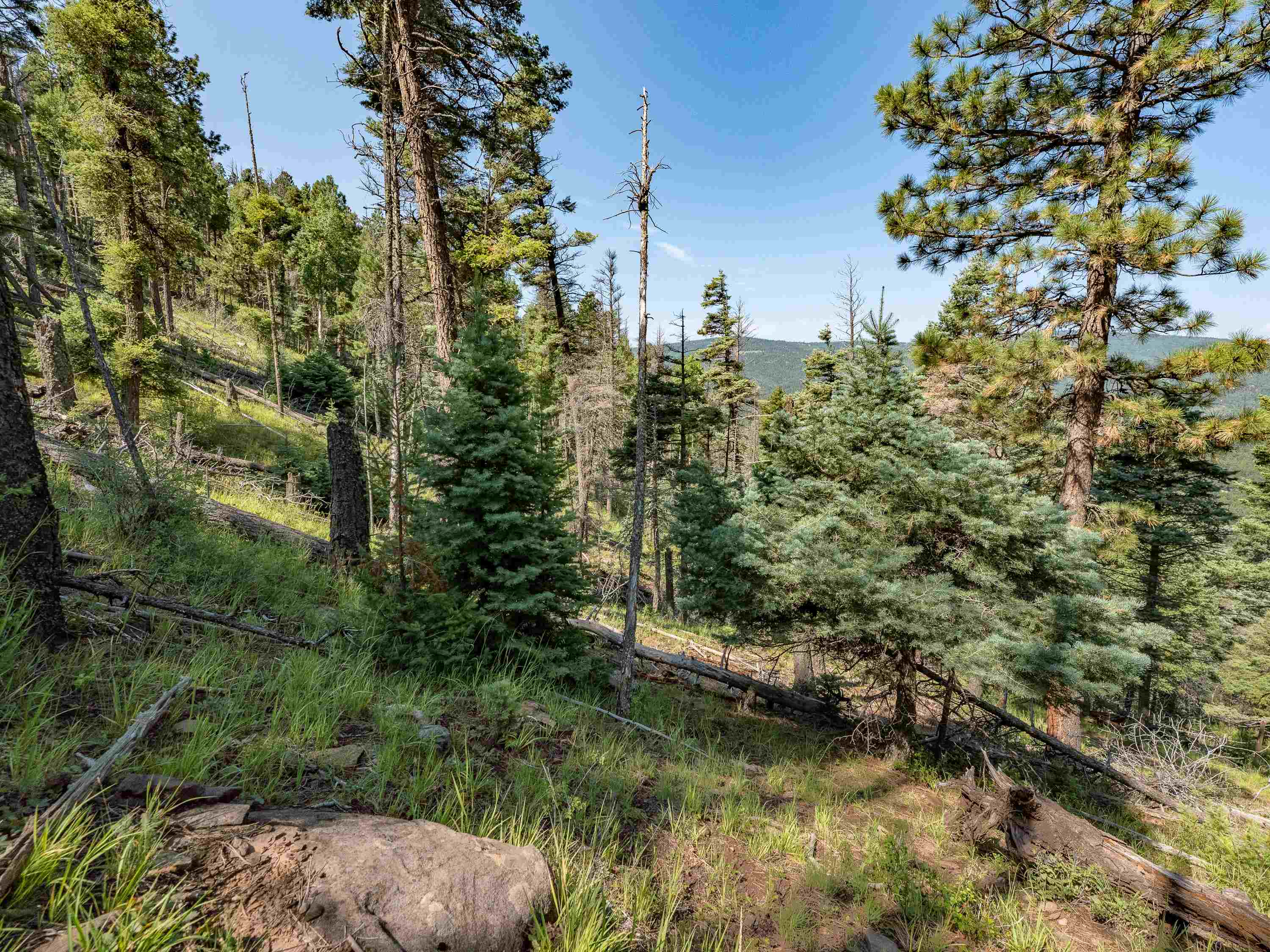 Lot 400 Vail Loop, Angel Fire, New Mexico image 20