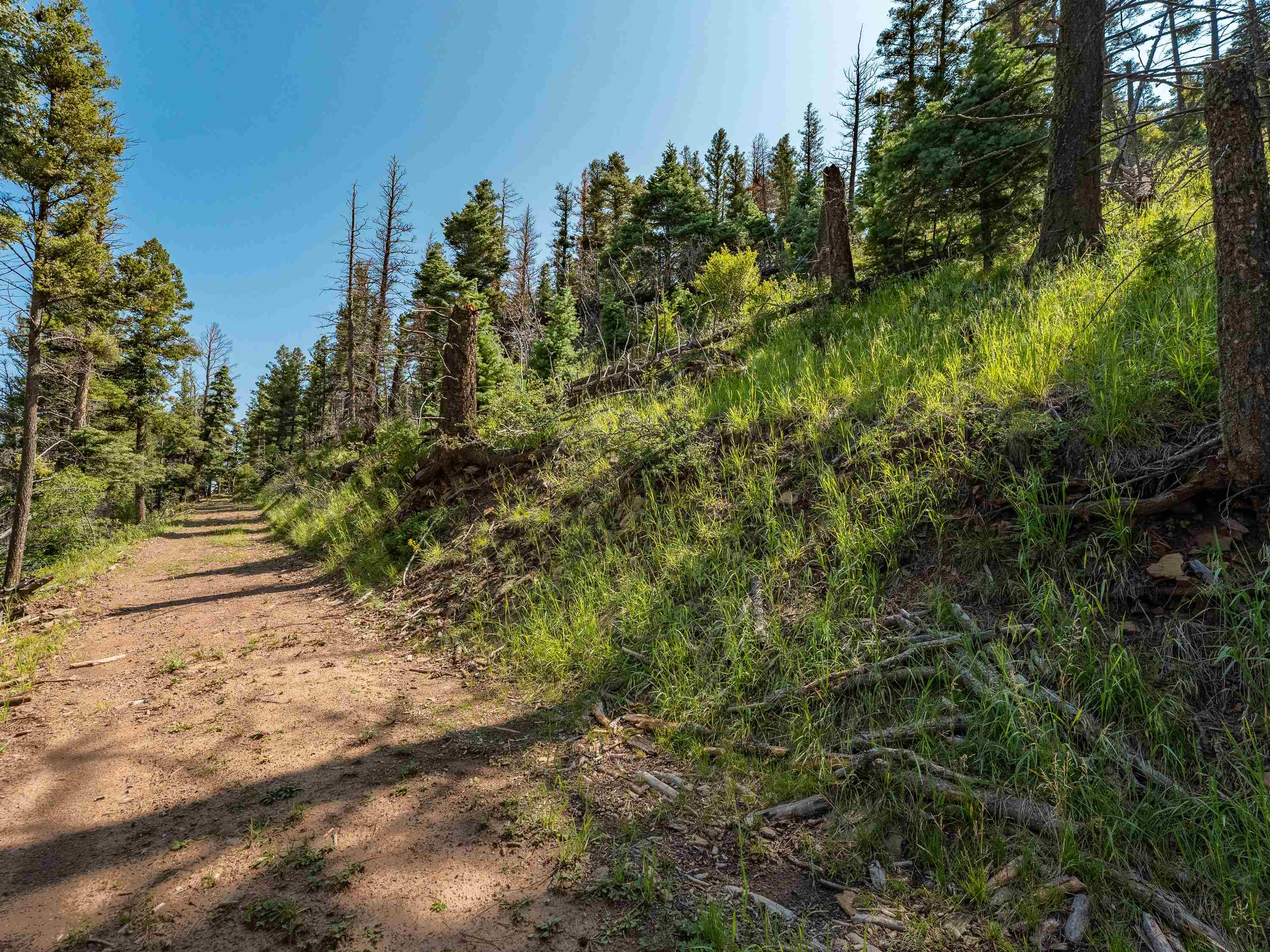 Lot 400 Vail Loop, Angel Fire, New Mexico image 10