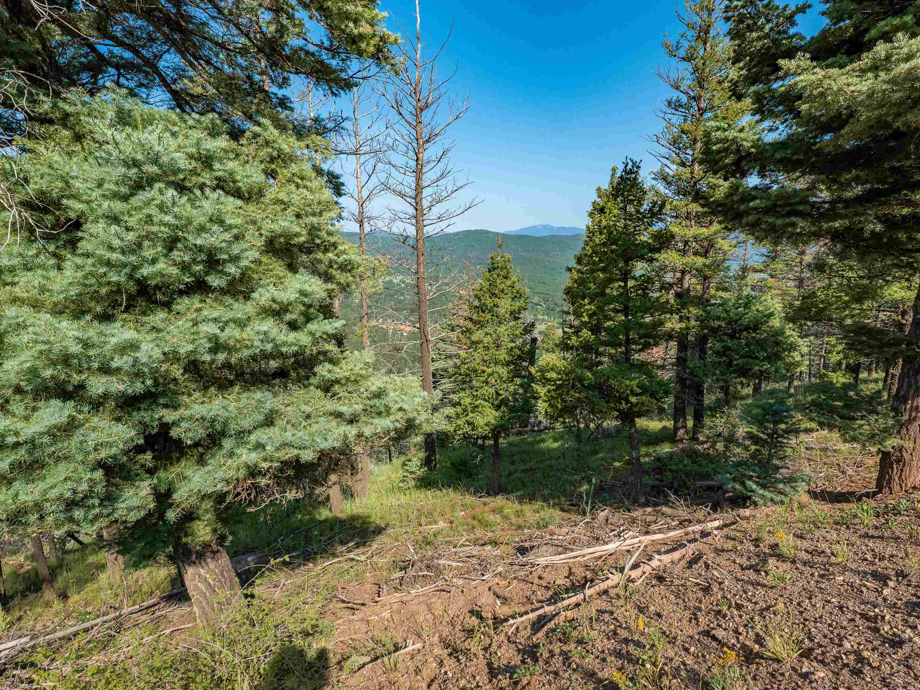 Lot 400 Vail Loop, Angel Fire, New Mexico image 5