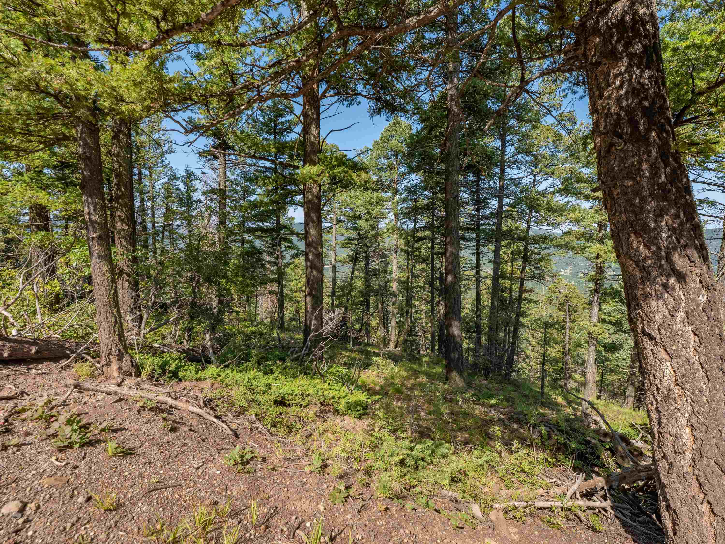 Lot 400 Vail Loop, Angel Fire, New Mexico image 7