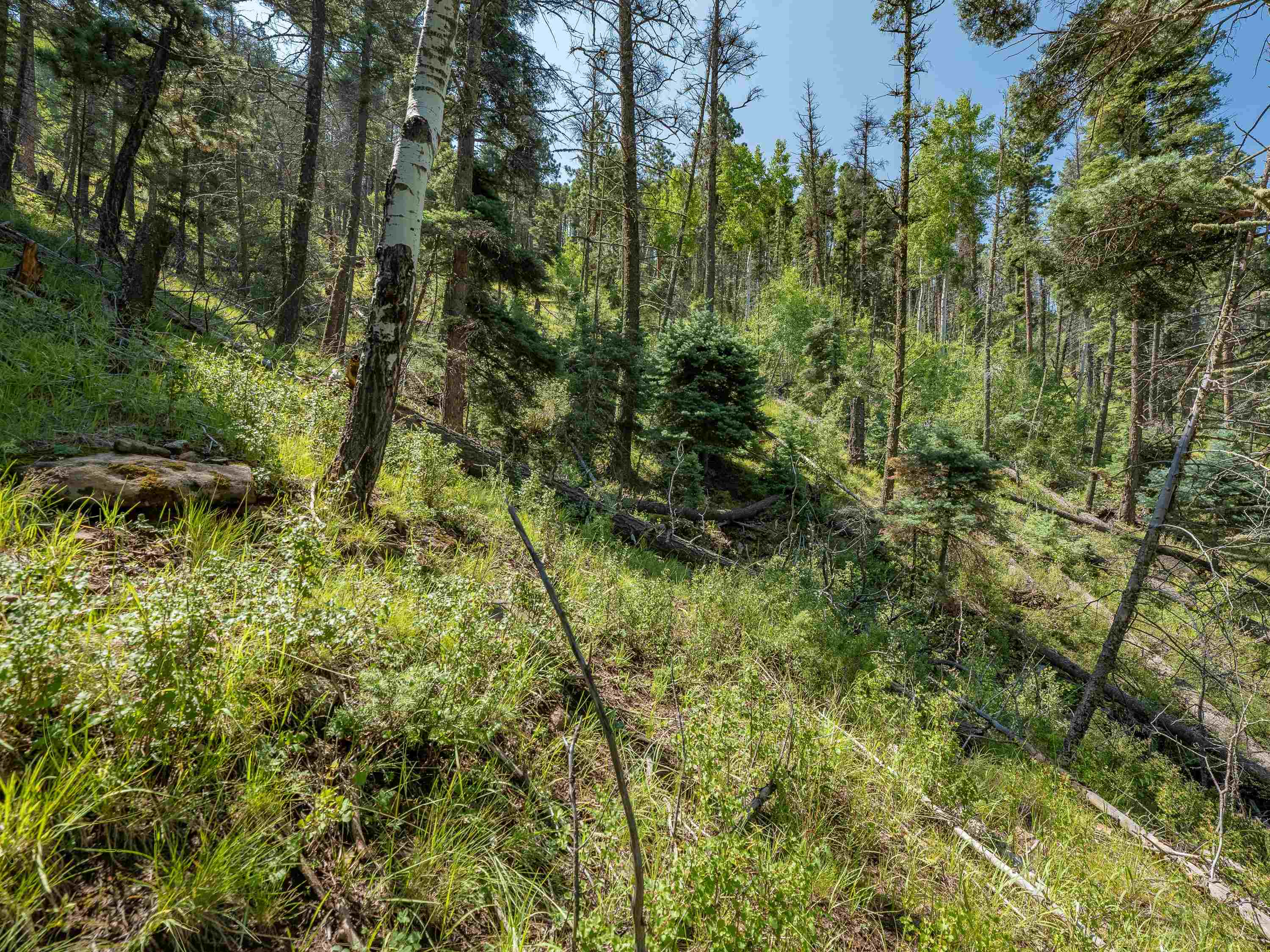Lot 400 Vail Loop, Angel Fire, New Mexico image 26