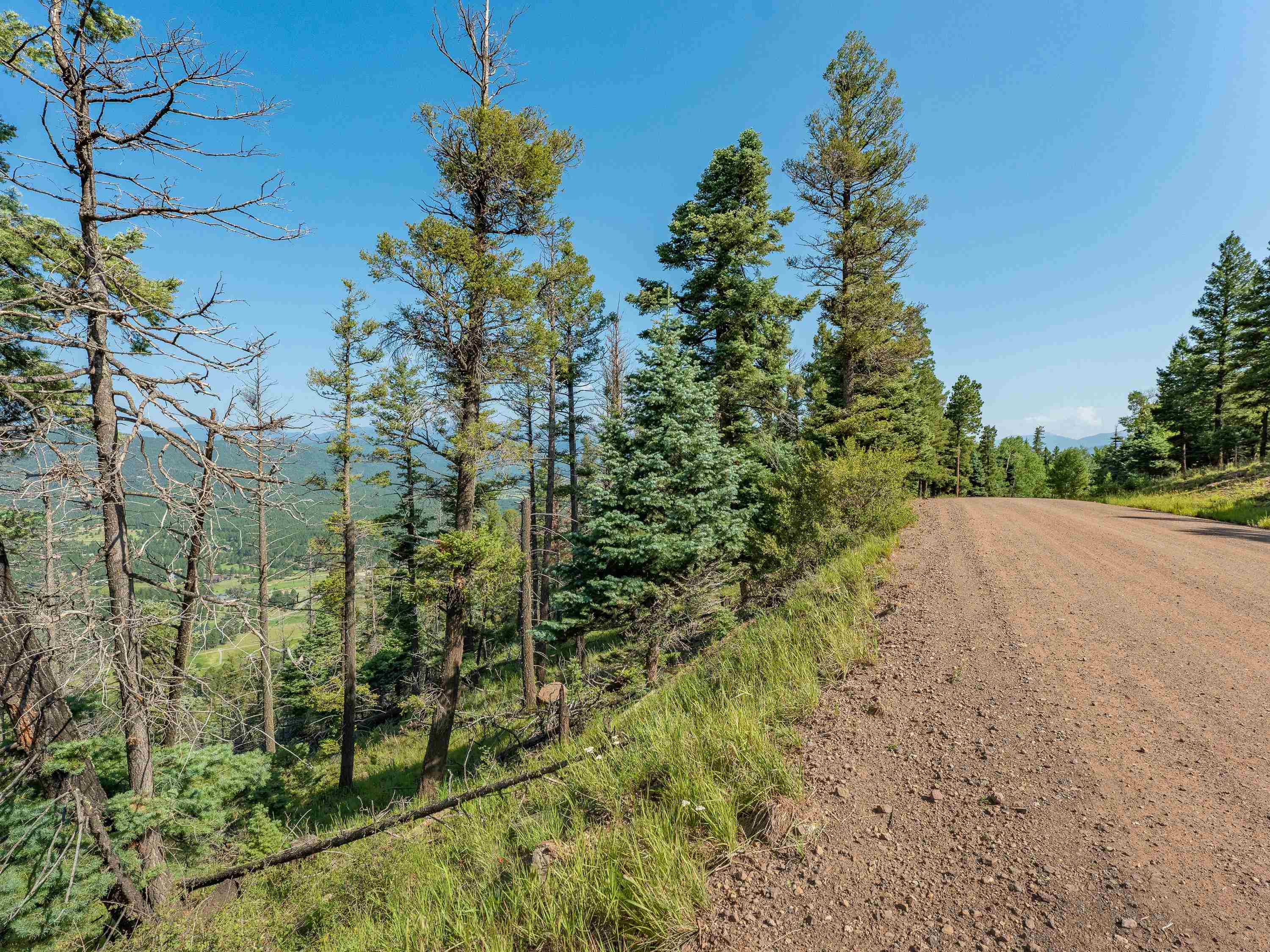 Lot 400 Vail Loop, Angel Fire, New Mexico image 4