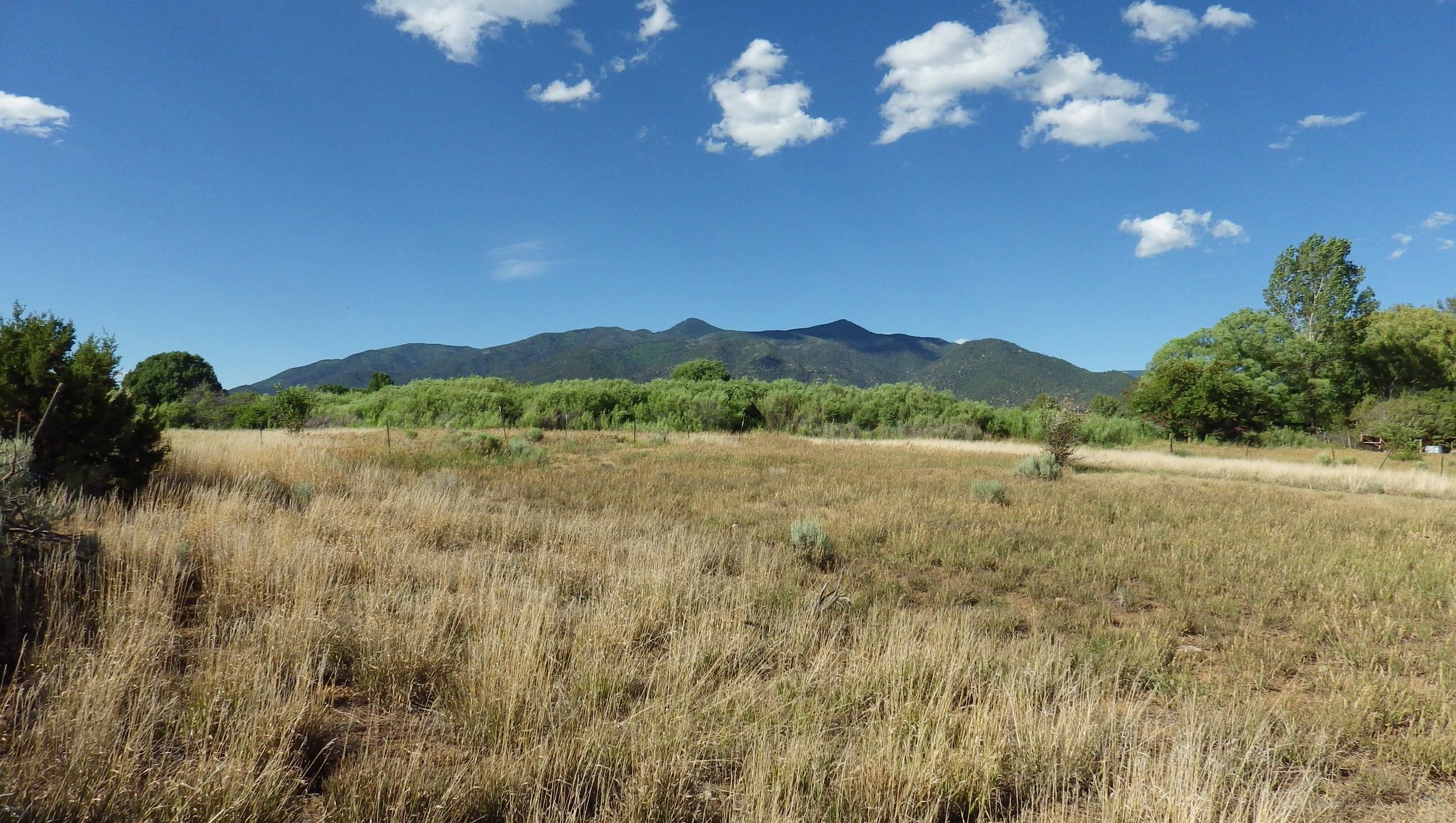 000 Private Easement, Arroyo Seco, New Mexico image 1