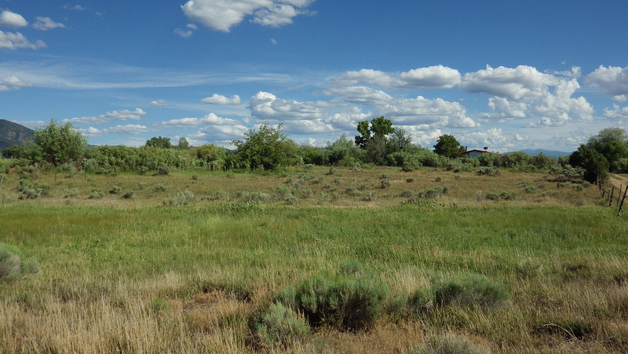 000 Private Easement, Arroyo Seco, New Mexico image 3