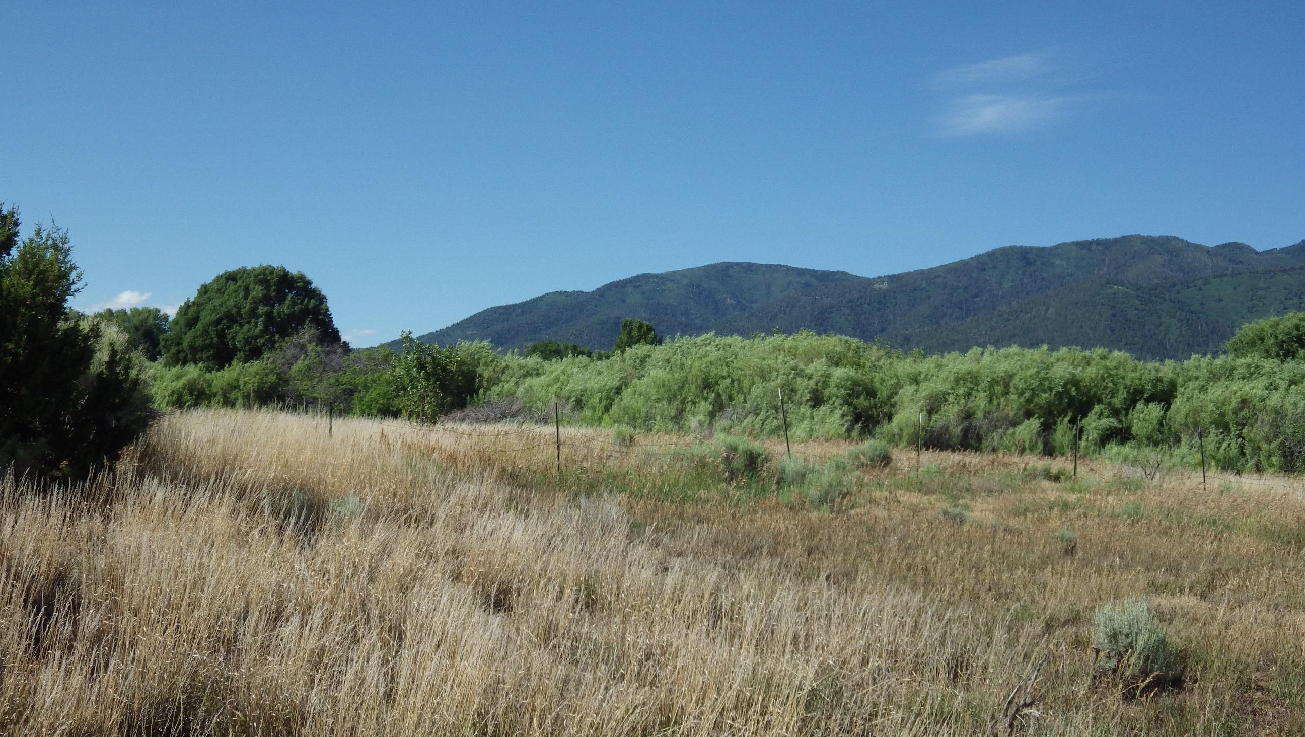 000 Private Easement, Arroyo Seco, New Mexico image 5