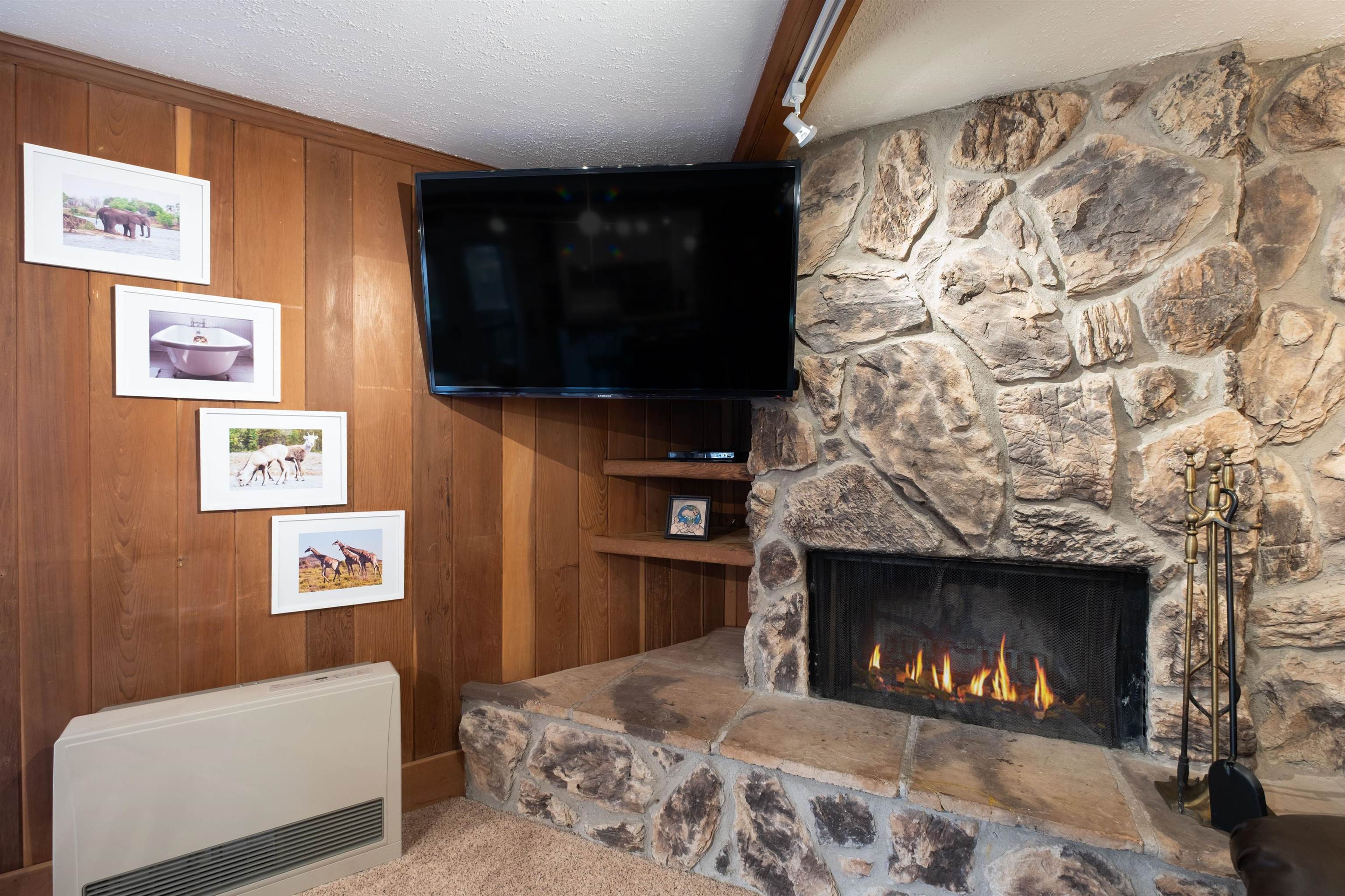 Angel Fire, New Mexico 87710, United States, 2 Bedrooms Bedrooms, ,1 BathroomBathrooms,Residential,Active,248720