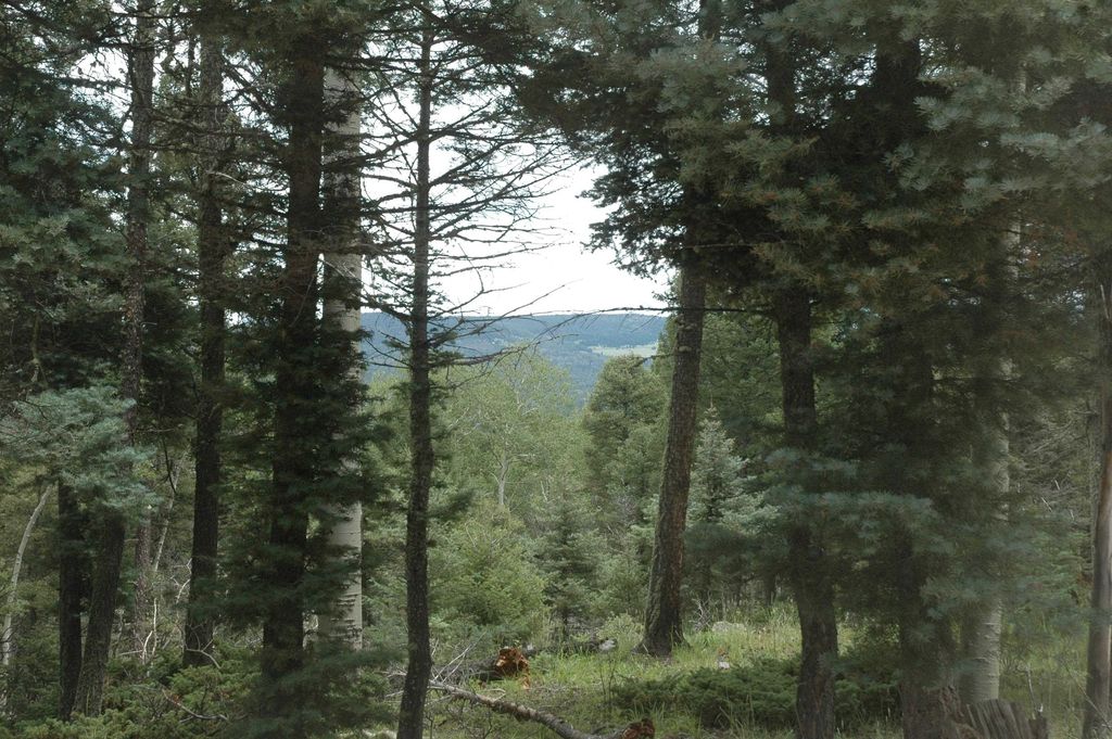 Photo of 275 vermejo Circle, Angel Fire, NM 87710 (MLS # 109245)