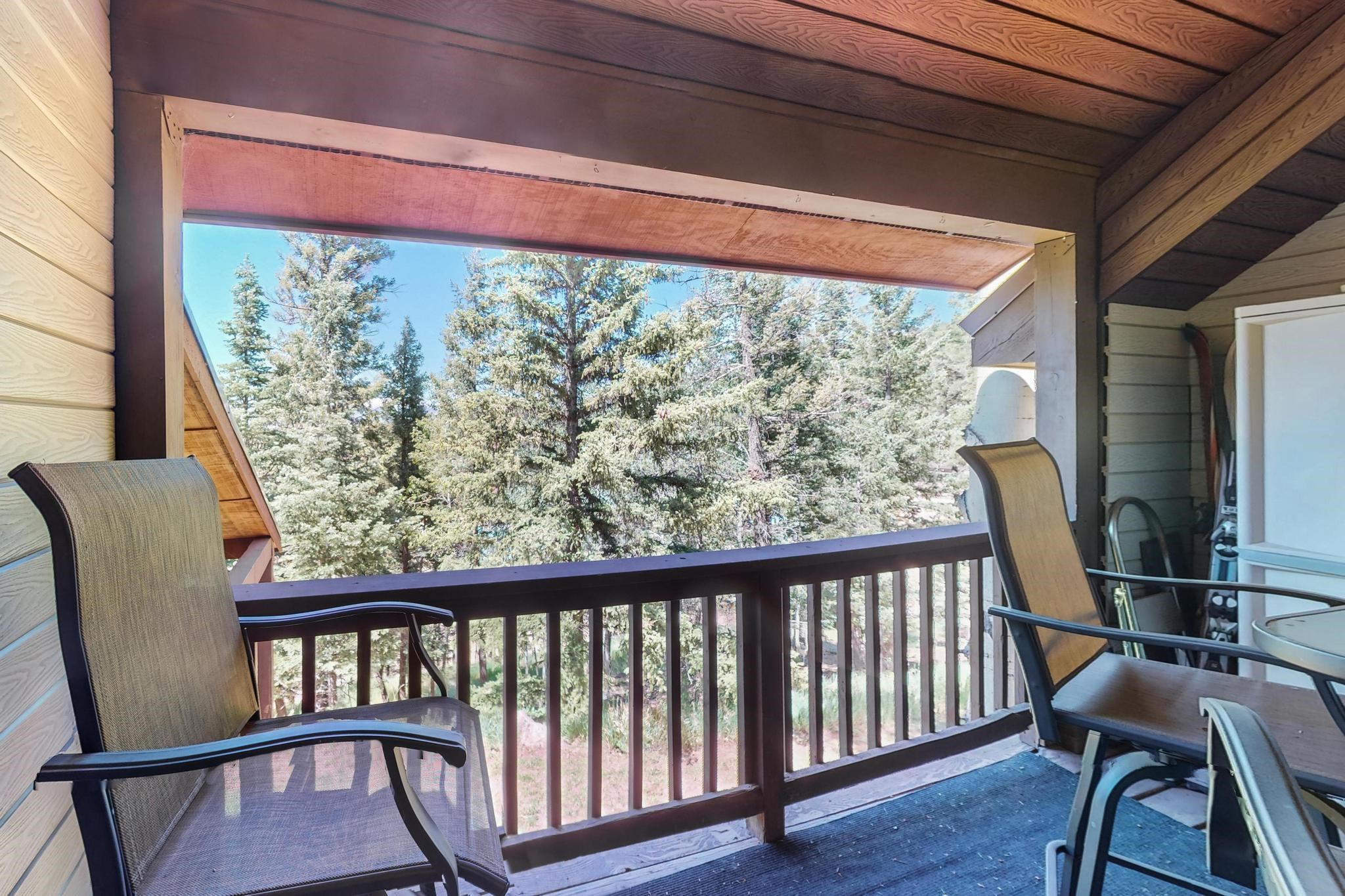 65 Vail Ave #B-10, Angel Fire, New Mexico image 18