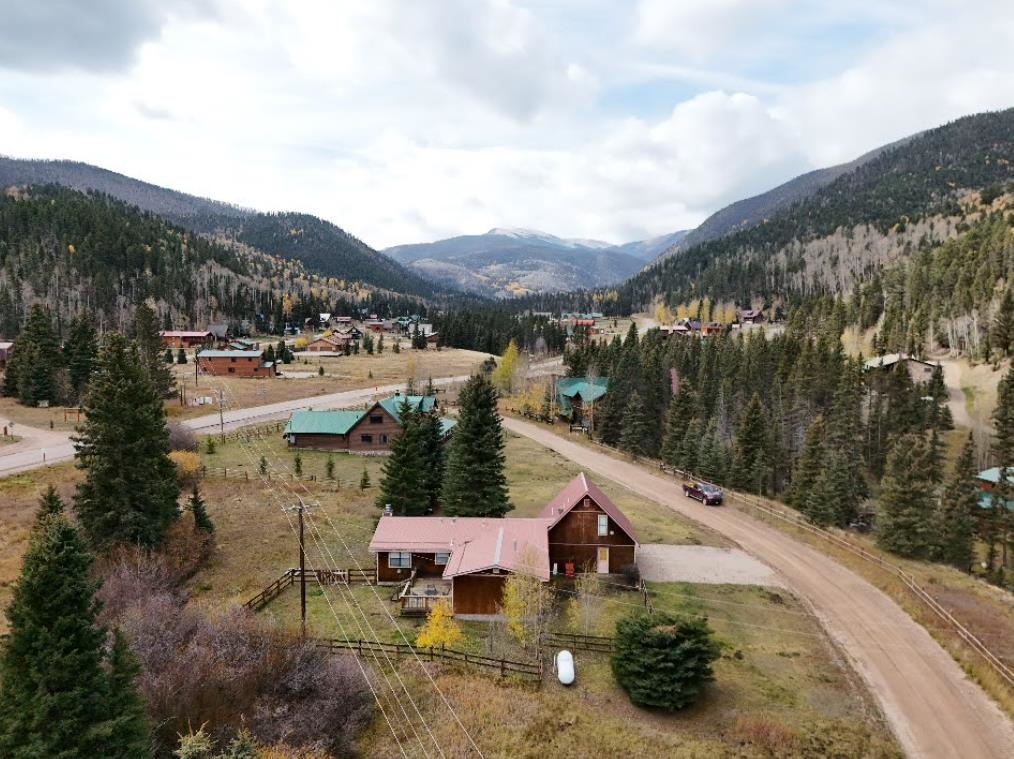 138 Valley Of The Pines, Red River, New Mexico image 3