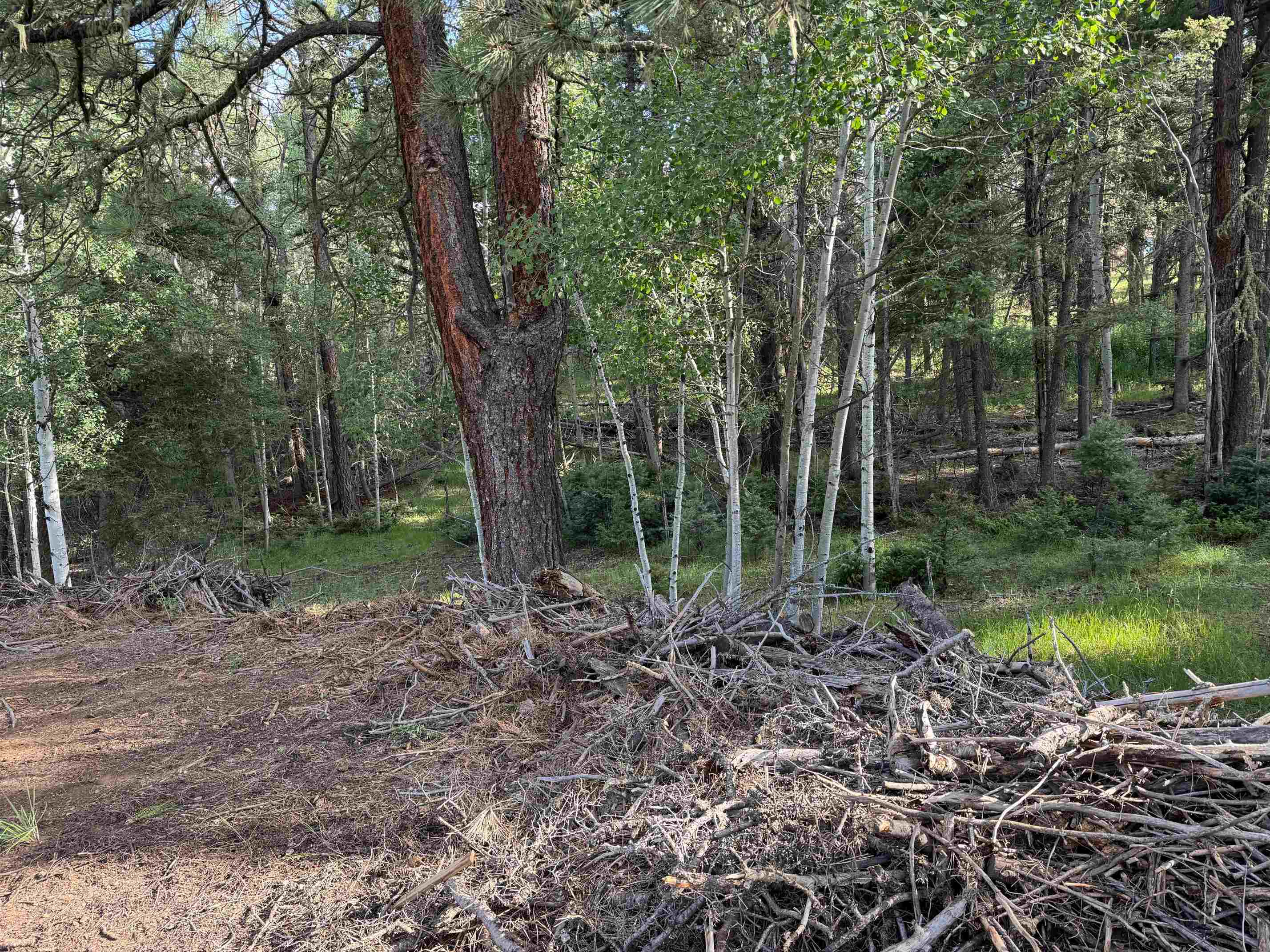 Lot 7 Alpine Lake Way, Angel Fire, New Mexico image 1