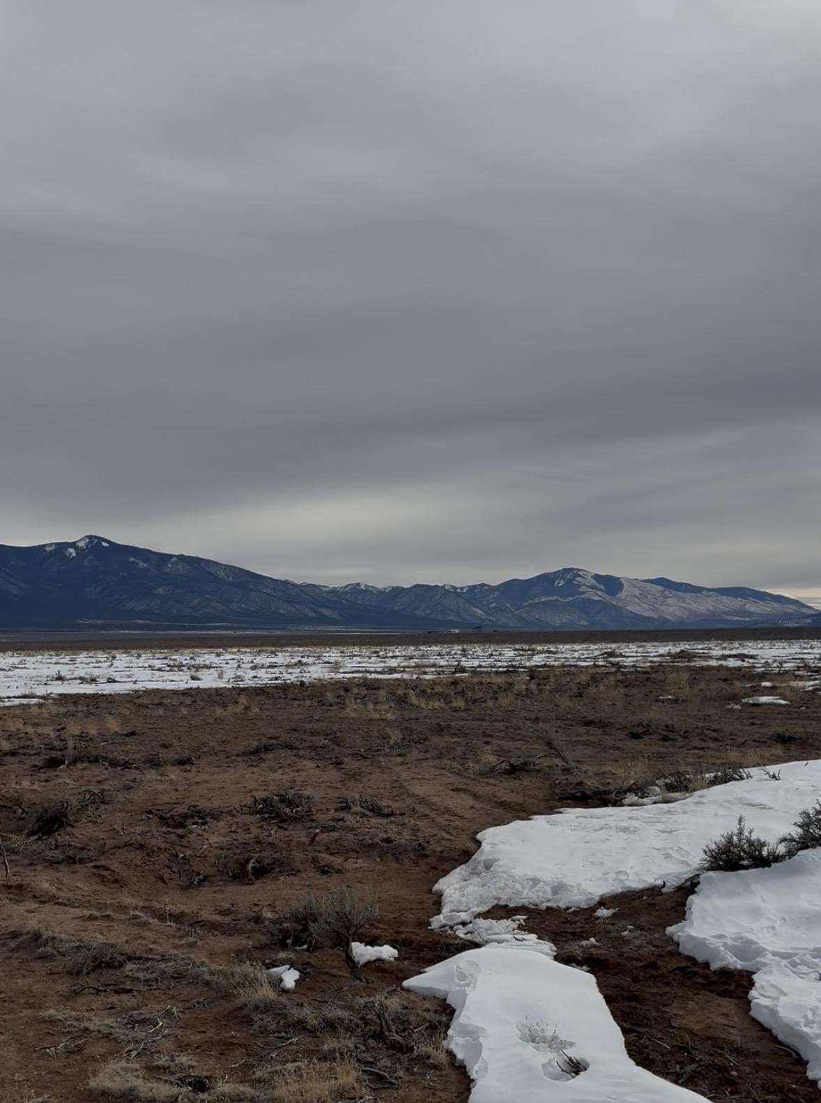 None