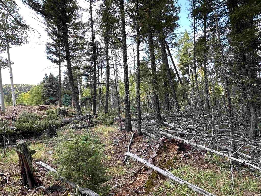 Photo of Lot 786 San Felipe Circle, Angel Fire, NM 87710 (MLS # 110925)