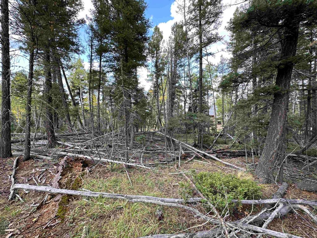 Photo of Lot 786 San Felipe Circle, Angel Fire, NM 87710 (MLS # 110925)