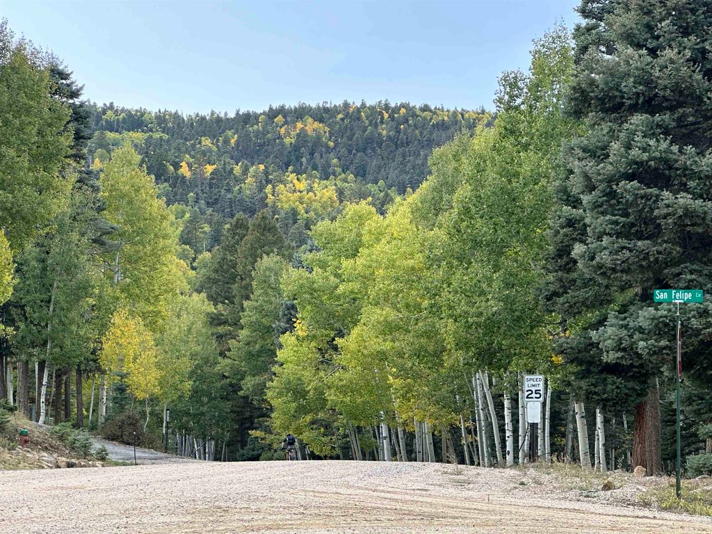 Photo of Lot 786 San Felipe Circle, Angel Fire, NM 87710 (MLS # 110925)