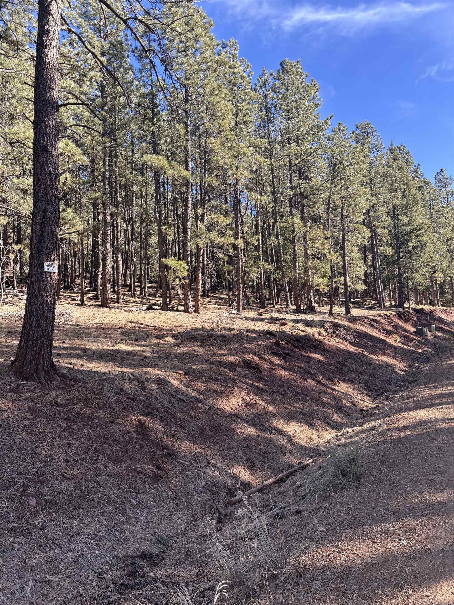 Lot 88 Mammoth Mountain Rd, Angel Fire, New Mexico image 4