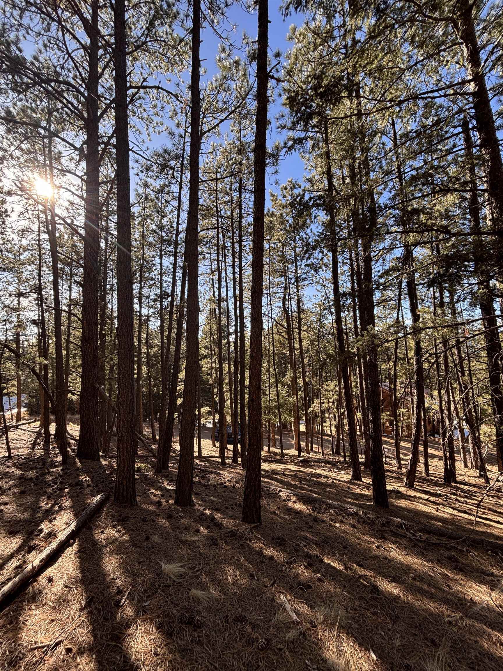 Lot 88 Mammoth Mountain Rd, Angel Fire, New Mexico image 1