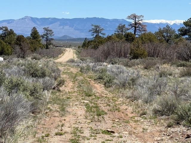 TBD Calle Del Cuervo, Tres Piedras, New Mexico image 16