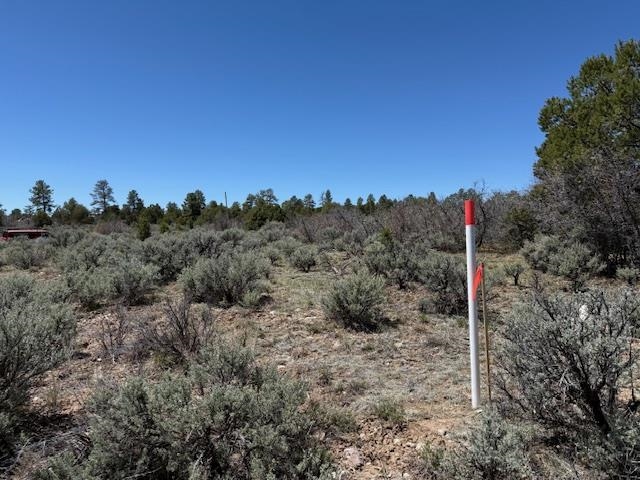 TBD Calle Del Cuervo, Tres Piedras, New Mexico image 14