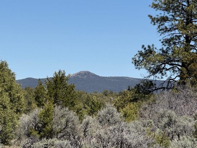 TBD Calle Del Cuervo, Tres Piedras, New Mexico image 4