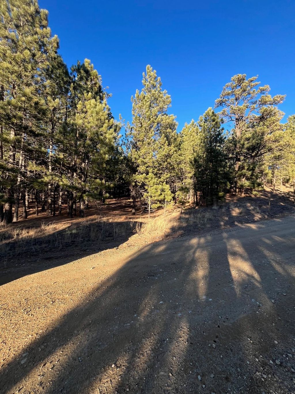 Photo of 1 and 2 Lower Rd, Black Lake, NM 87710 (MLS # 114325)