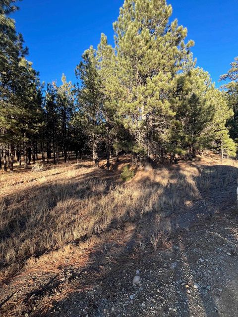 Photo of 1 and 2 Lower Rd, Black Lake, NM 87710 (MLS # 114325)
