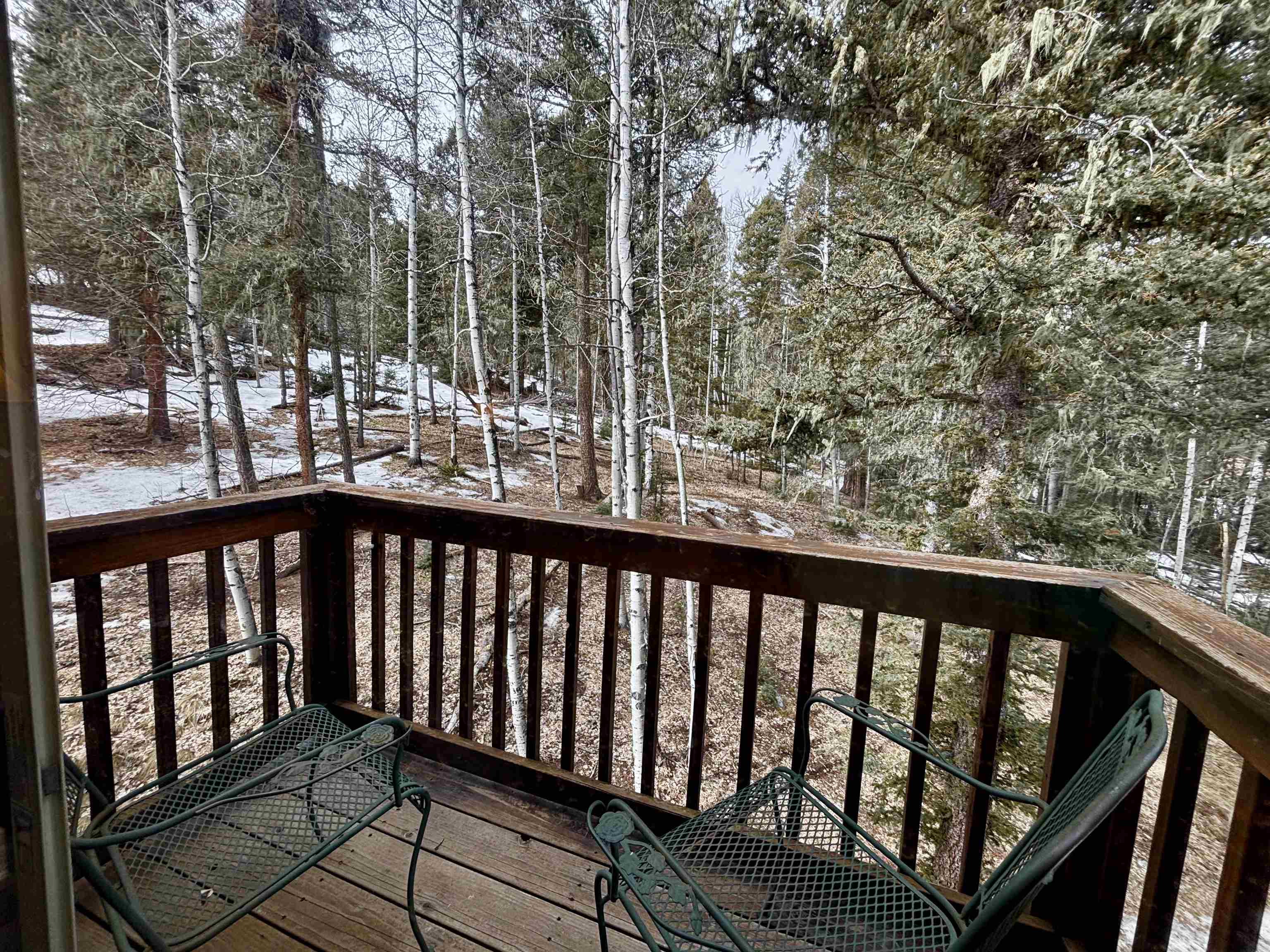 21 San Andres Circle, Angel Fire, New Mexico image 12