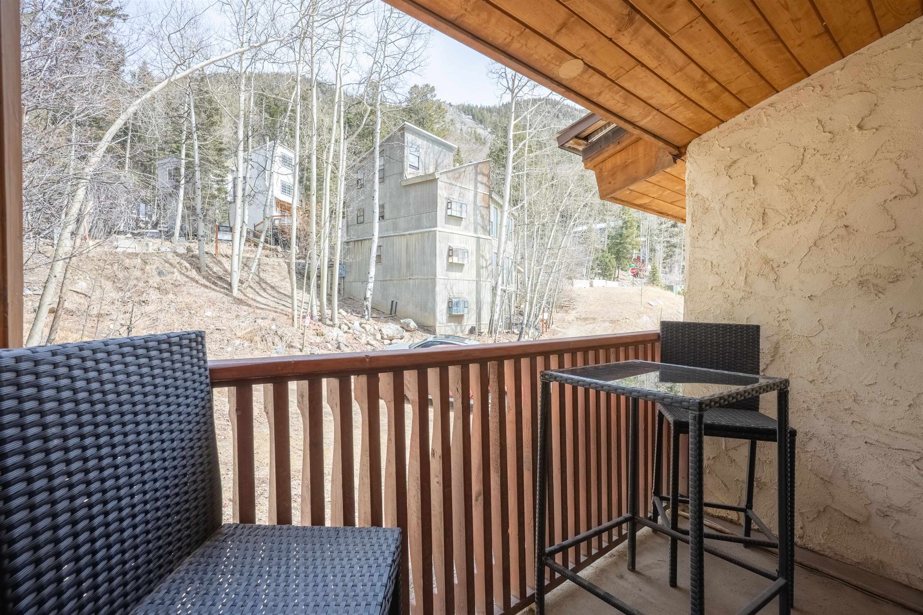 5 Ernie Blake Road #304, Taos Ski Valley, New Mexico image 18