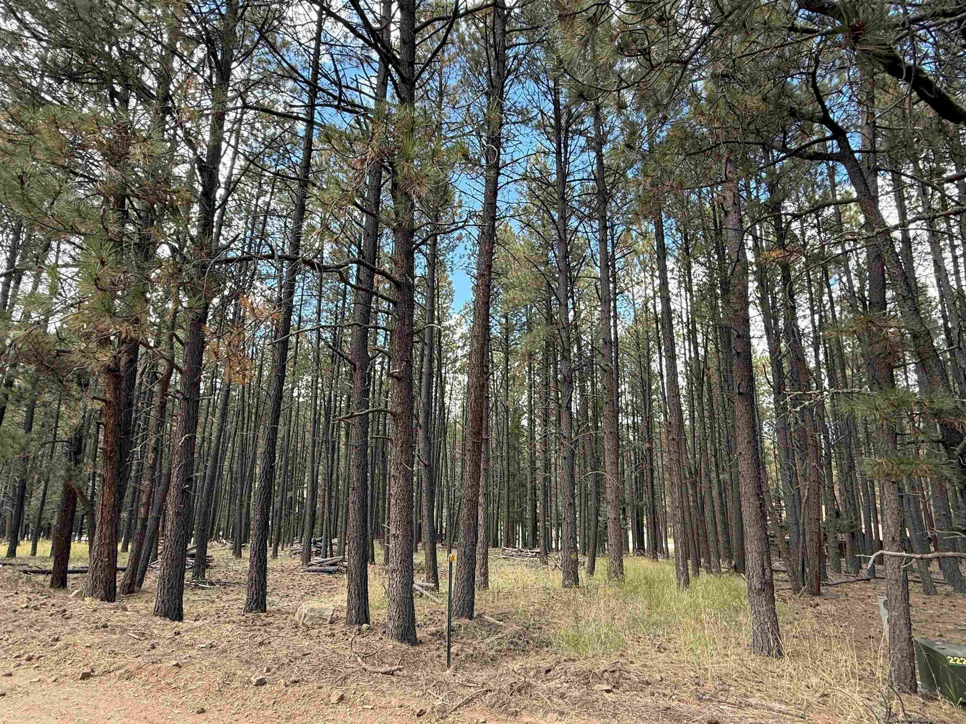 Lot 7 Pine Valley Drive