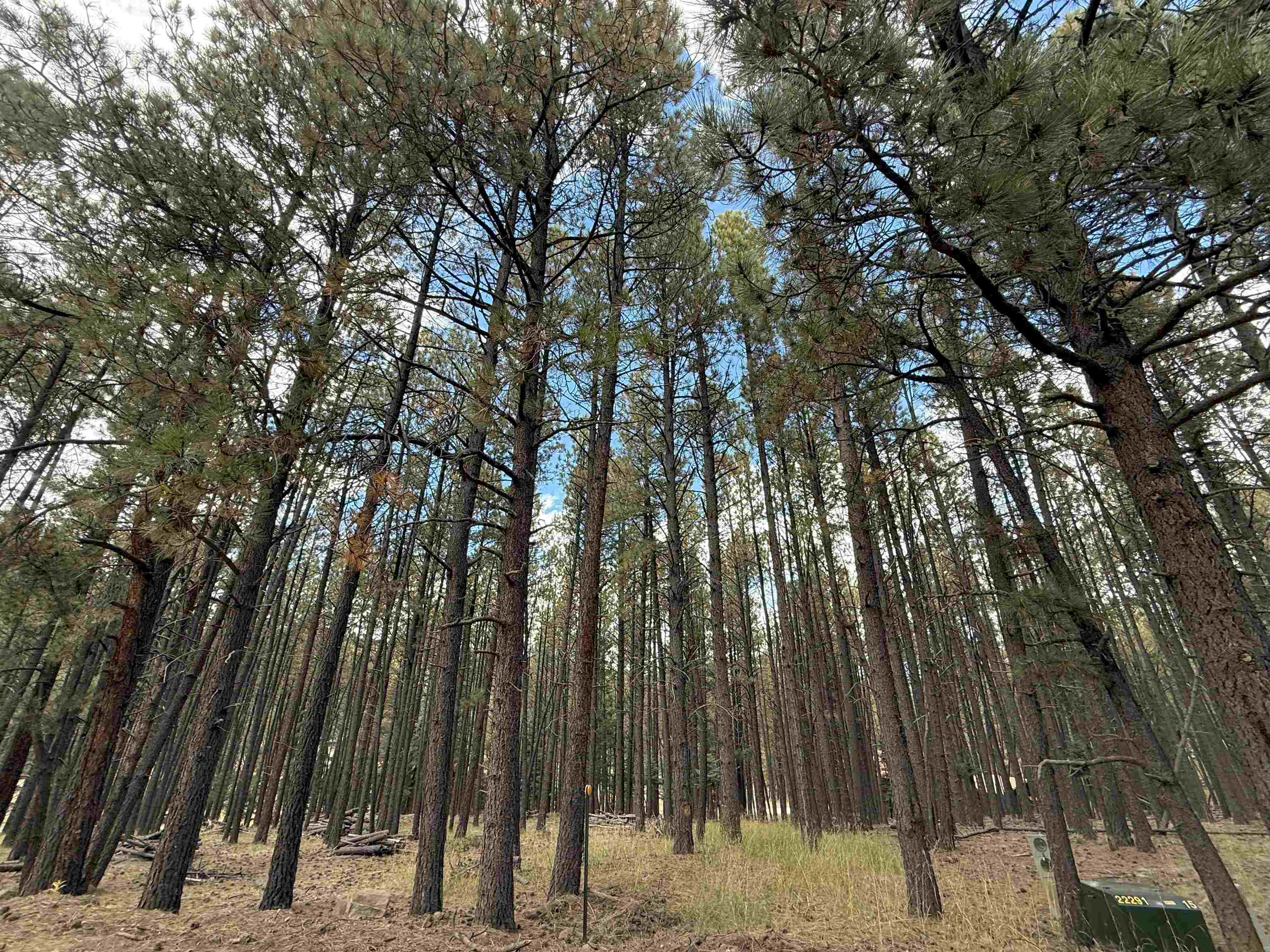 Lot 7 Pine Valley Drive