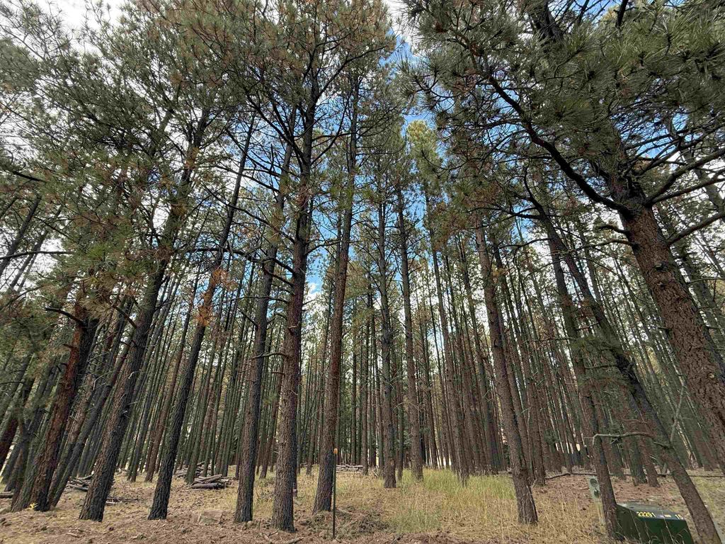 Photo of Lot 7 Pine Valley Drive, Angel Fire, NM 87710 (MLS # 114096)