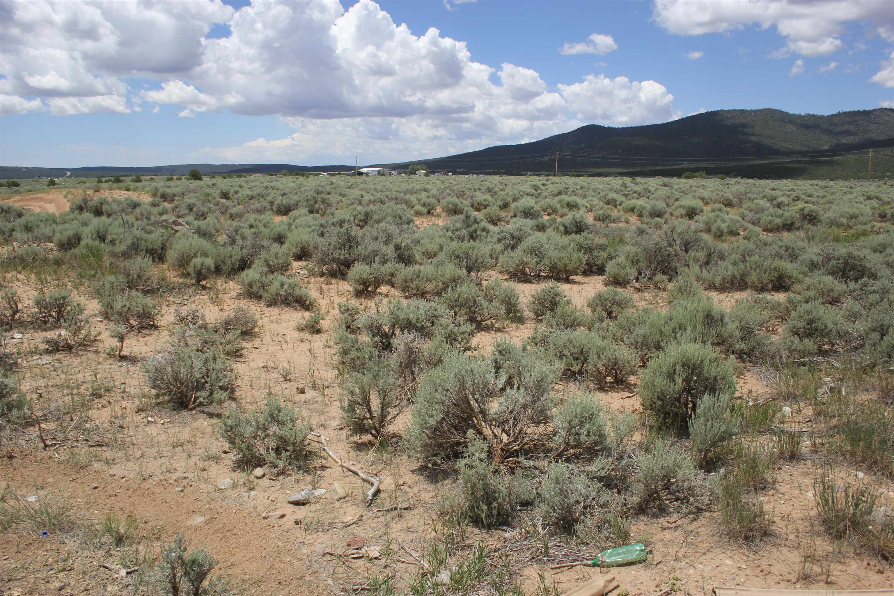 19 Acres Don Martinez Road, Questa, New Mexico image 2