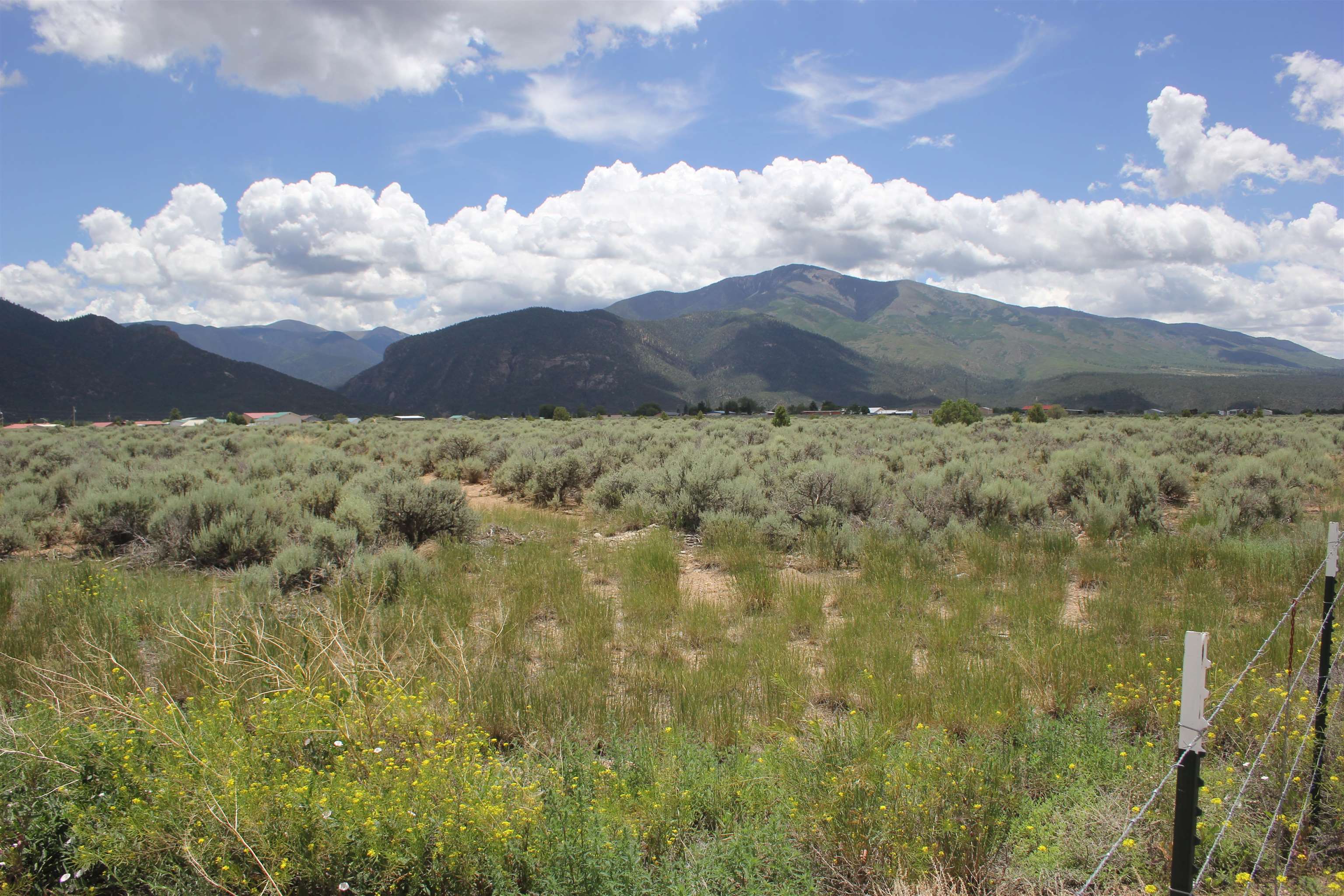 19 Acres Don Martinez Road, Questa, New Mexico image 5