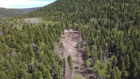 Vacant Land For Sale - LOT 14 Back Basin Rd<br/> Angel Fire, NM 87710