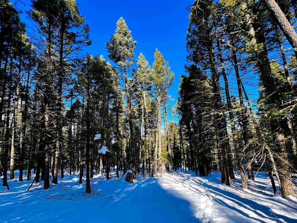 Photo of lot 1108 Valle Grande Circle, Angel Fire, NM 87710 (MLS # 111180)