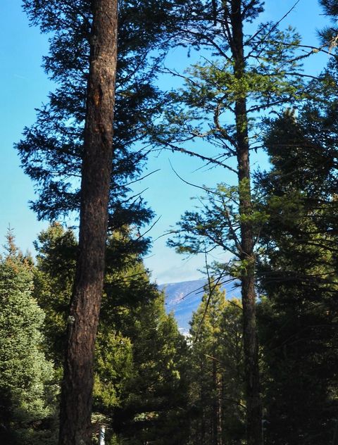 Photo of lot 1108 Valle Grande Circle, Angel Fire, NM 87710 (MLS # 111180)