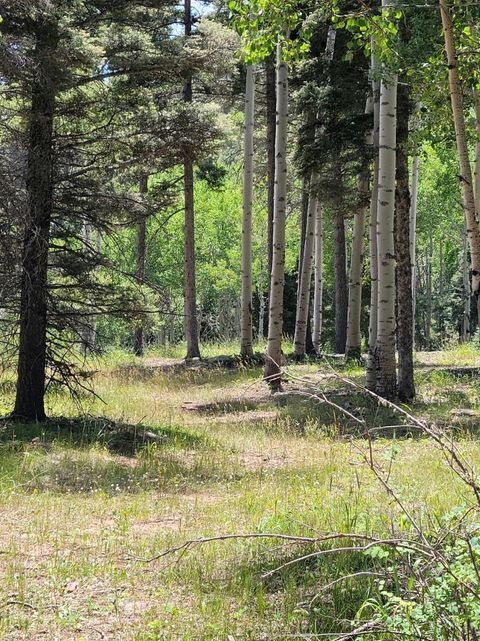 Photo of lot 51 Via de Maria, Angel Fire, NM 87710 (MLS # 111723)